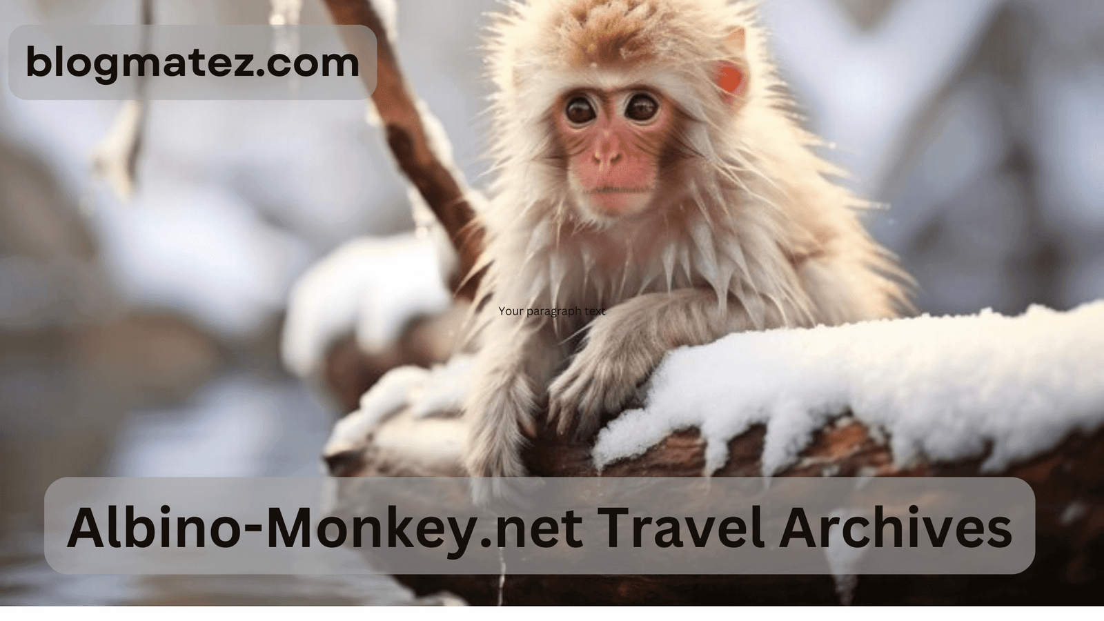 Albino-Monkey.net Travel Archives